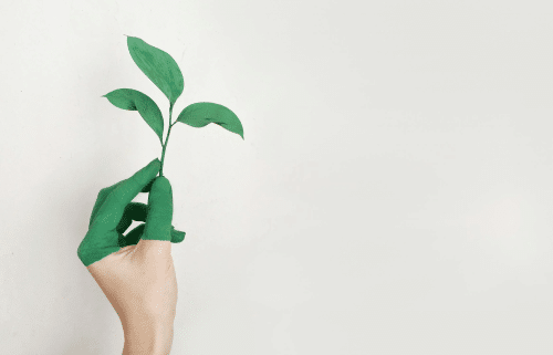 eco-friendly household products