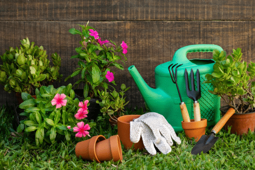 eco-friendly garden